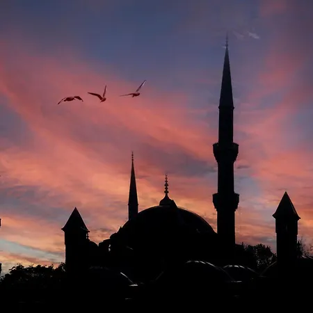 Hotel Pera Tulip Hotel&spa 4*