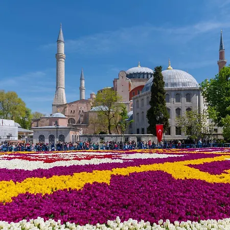 Отель Pera Tulip & 4*