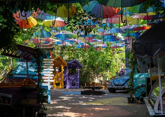 Pera Tulip & اسطنبول