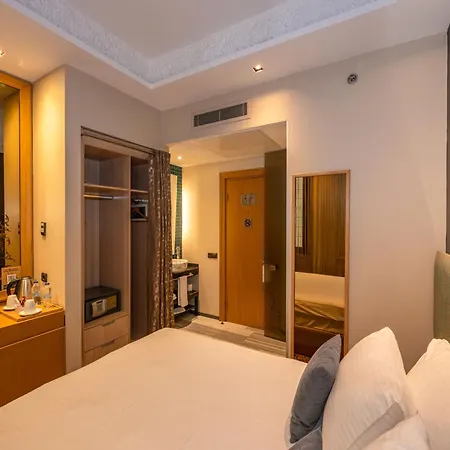 Pera Tulip & 4*