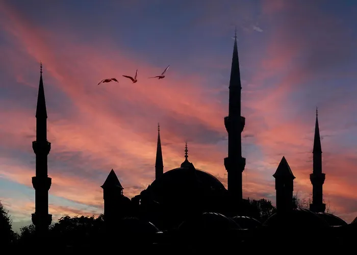 Отель Pera Tulip & 4*