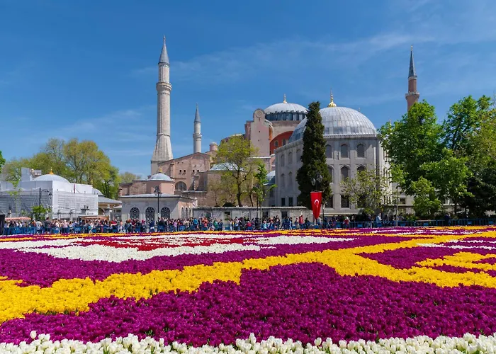 Отель Pera Tulip & 4*